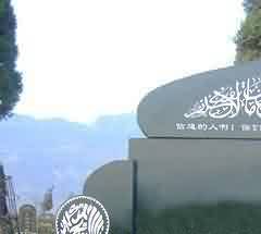 漢代搖錢樹是引魂升天追求長生之樹