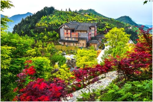 曬出古韻,曬出精品,曬出匠心 巴南借 雙曬 助推文旅融合上新臺階