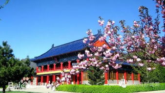 來唐山玩吧 10條以世園會為核心的旅游線路出爐