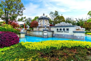 魔都有個樓盤,擅長給人治病