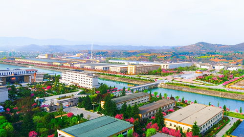 酒海藏,年份長 ,金徽酒醇香之夜亮相海上絲綢之路