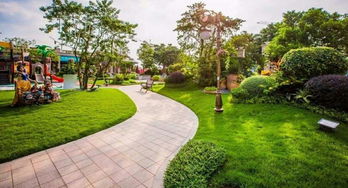 許昌長葛碧桂園鳳凰城毛坯房3室 2廳 2衛