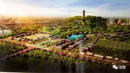 武勝龍女湖片區優質地塊馬上拍賣,位置超好