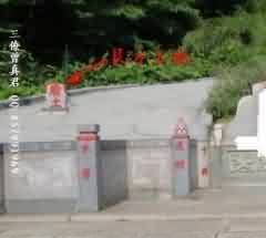 廢除強制火化推行生態葬法