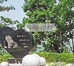 清代喪服服制變革