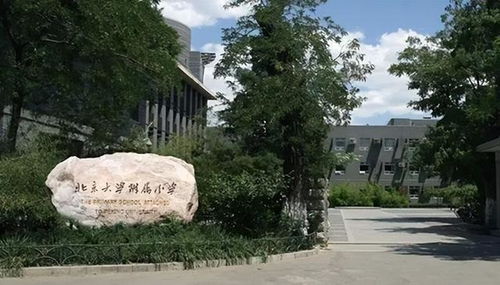 2024年買房必勝秘籍盯緊海淀北銷冠,盯緊北大好洋房就穩了