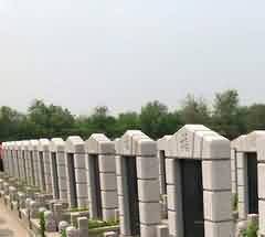 &ldquo;叛逆者&rdquo;的探索與新生