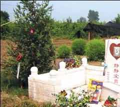 日本殯葬法律的主要特點(diǎn)