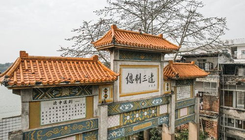 平南 白馬雙英 背后的故事,你了解多少