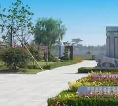 殯葬改革的成績來之不易