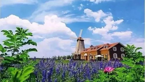 健康迎雙節 防疫不松勁 關于冷鏈食品的6個權威問答