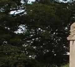 &ldquo;不立文字&rdquo;不是&ldquo;不要文字&rdquo;、&ldquo;摒棄文字&rdquo;