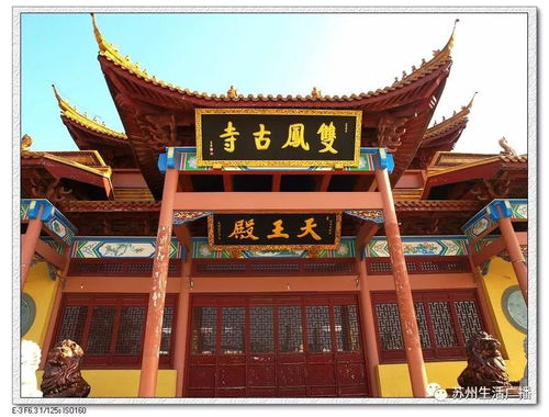 965風物蘇州 雙鳳寺