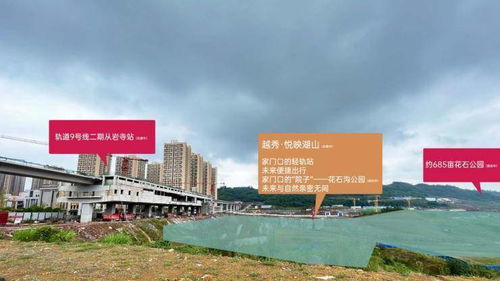 越秀 悅映湖山 中央公園 雙軌道 湖山環幕洋房 時代地標