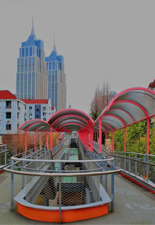 看得見風景的天橋,解鎖拍上海的新角度