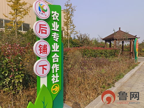 黨建引領鄉村振興 即墨區后鋪下農業專業合作社農副產品展風采