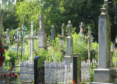 從高興路到太倉雙鳳紀念園的交通指南