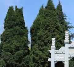 雙鳳紀(jì)念園 公墓建設(shè)管理水平的現(xiàn)代典范