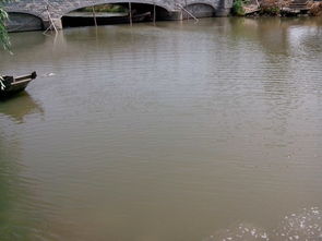 雙鳳生態(tài)園5月24日加魚(yú)圖片回顧