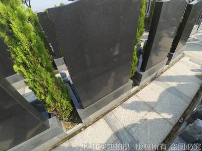 洪福墓區（雙鳳紀念園）碑型全覽 傳承文化與個性的永恒印記